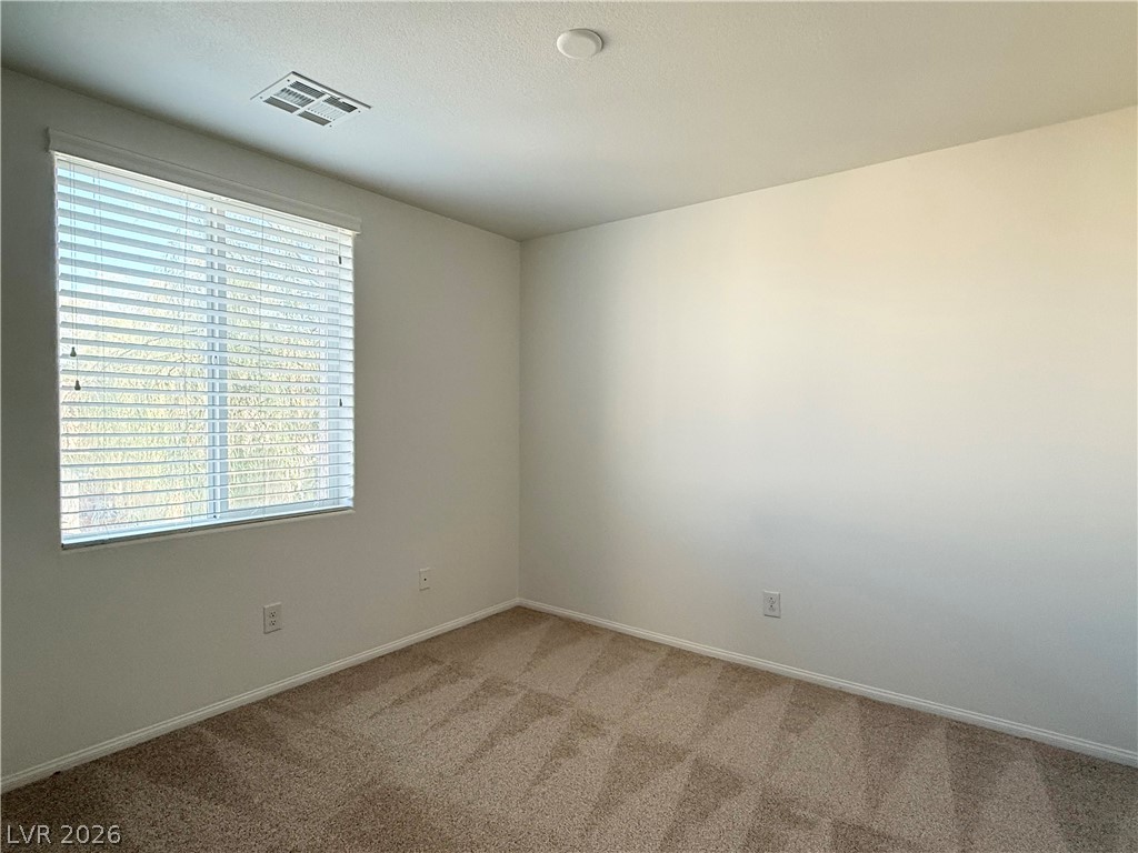 233 Belmont Canyon Place Property Photo 12