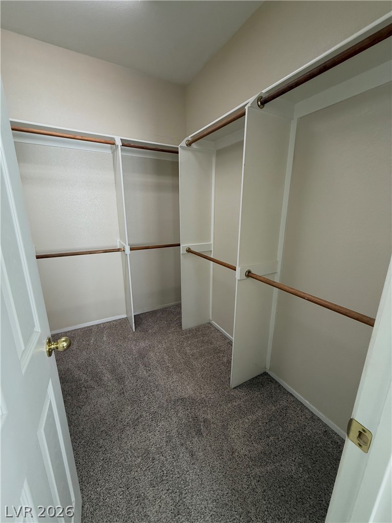3608 Australian Cloud Drive Property Photo 15