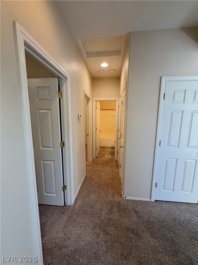 3608 Australian Cloud Drive Property Photo 16