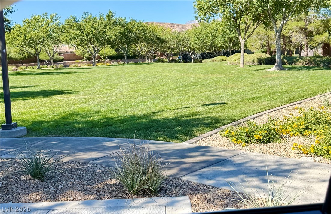 3608 Australian Cloud Drive Property Photo 29