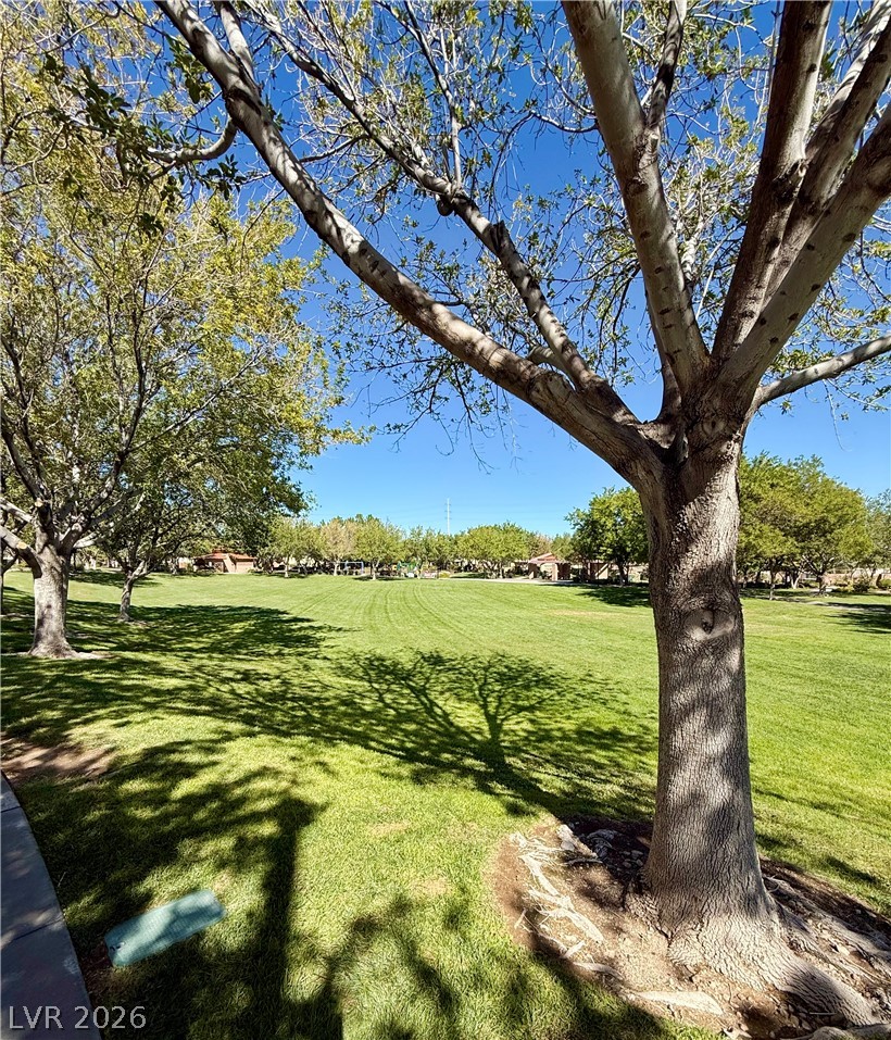 3608 Australian Cloud Drive Property Photo 32