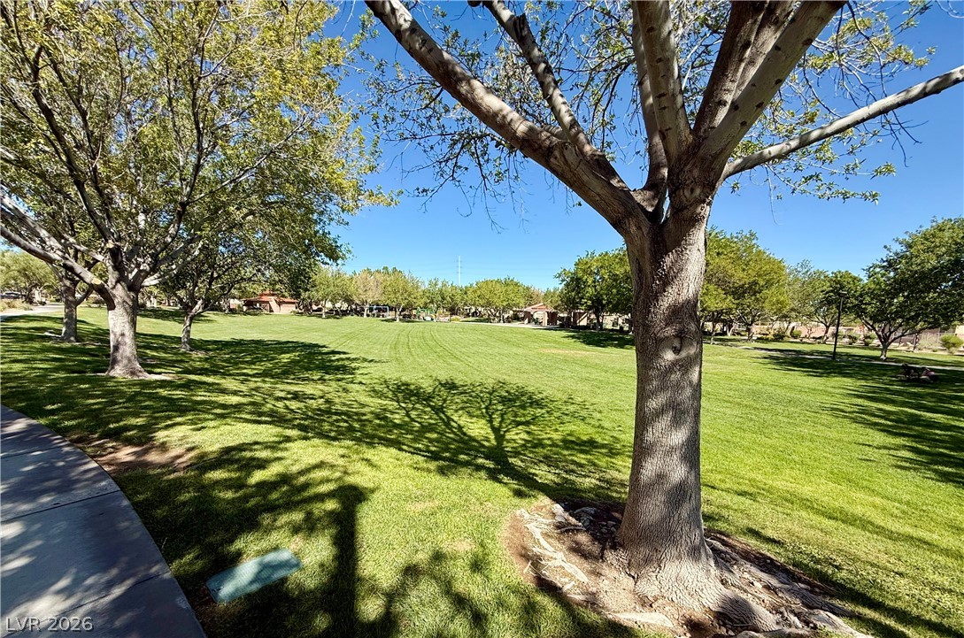3608 Australian Cloud Drive Property Photo 35