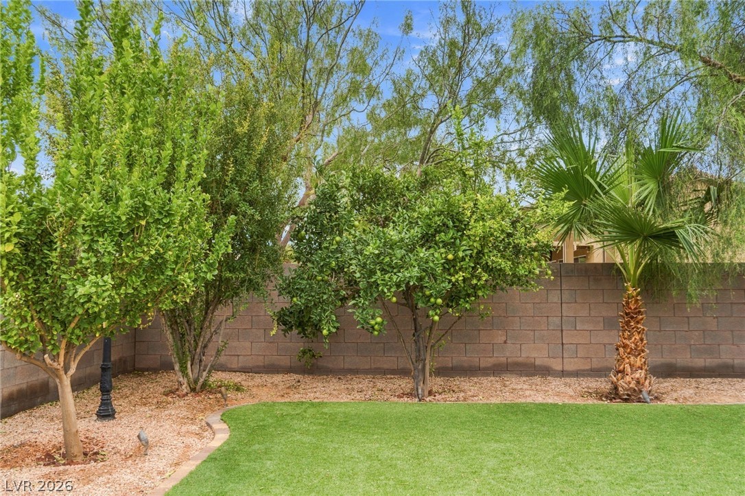 8622 Amber Autumn Street Property Photo 36