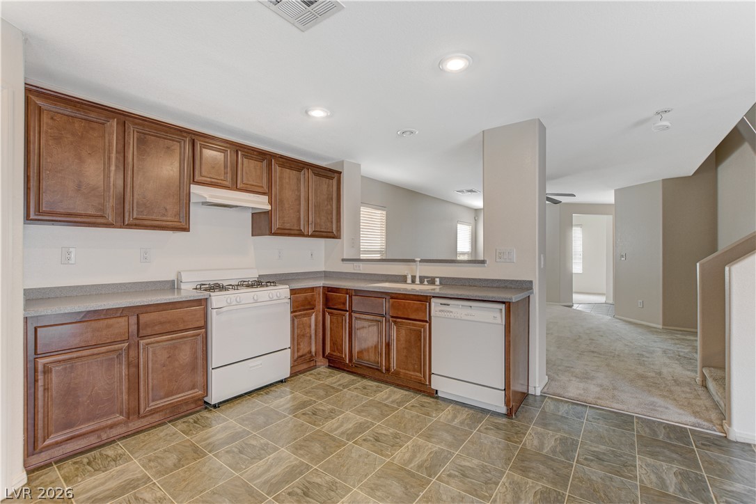 8950 Spring Peeper Avenue Property Photo 16