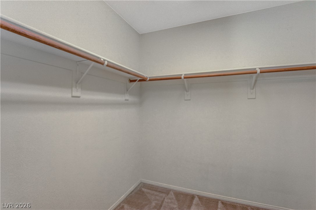 8950 Spring Peeper Avenue Property Photo 41