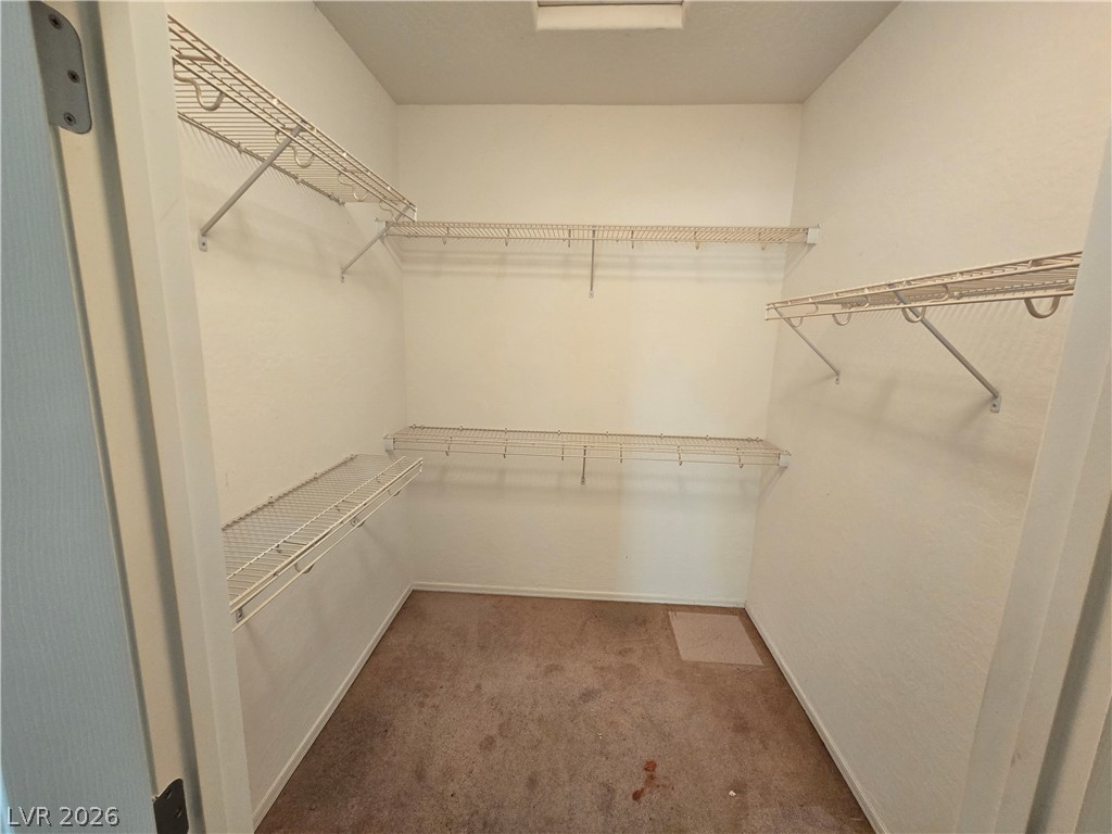 7913 Grey Teal Street Property Photo 16