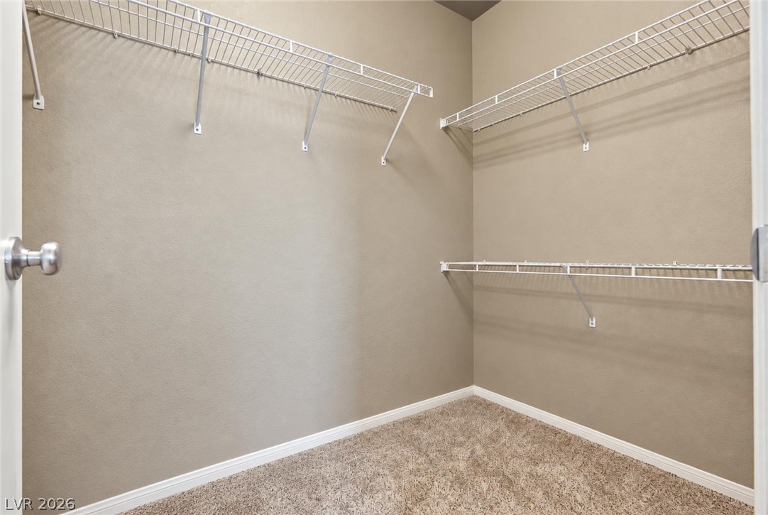 9088 Jade Vine Avenue Property Photo 22