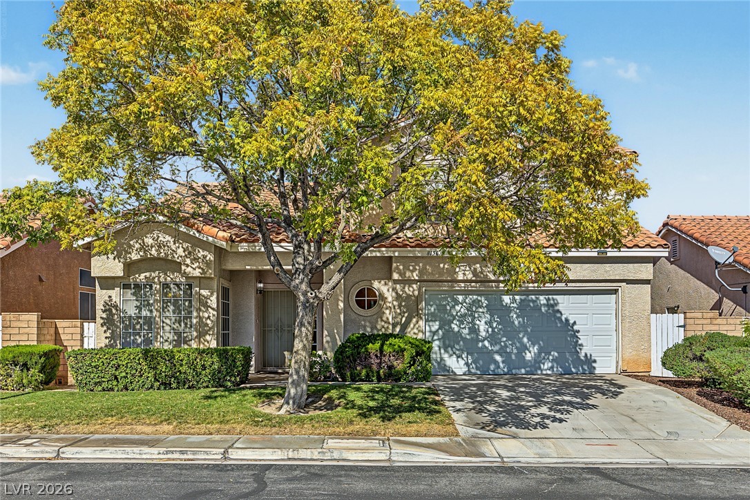 8150 Canto Avenue Property Photo 2