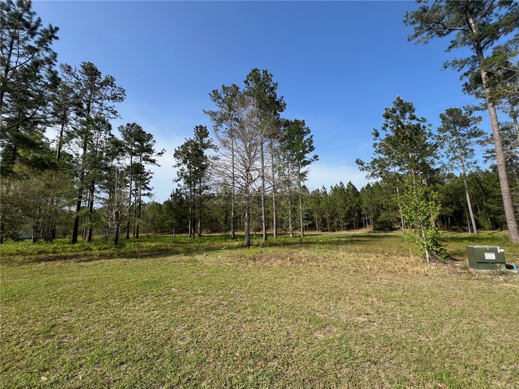 15 Windmill Palm Property Photo 1