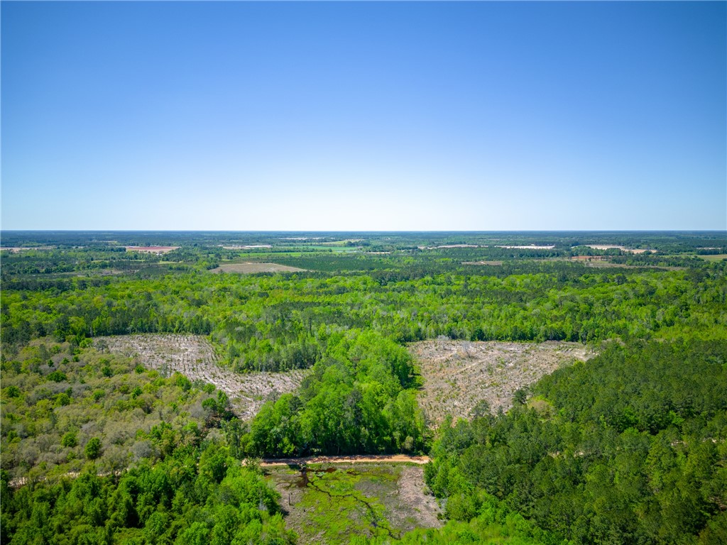 0 Ward Boyette Road Property Photo