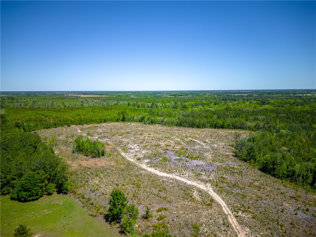 0 Scuffletown Road Property Photo
