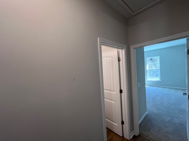 104 Serpentin Drive Property Photo 15