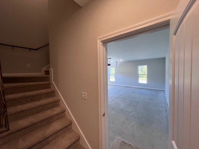 104 Serpentin Drive Property Photo 28