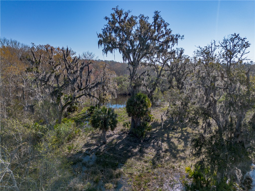0 Us Hwy 82 Property Photo 40