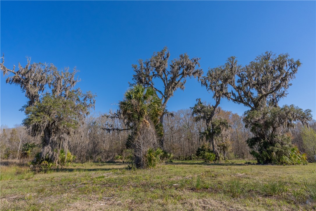 0 Us Hwy 82 Property Photo 42
