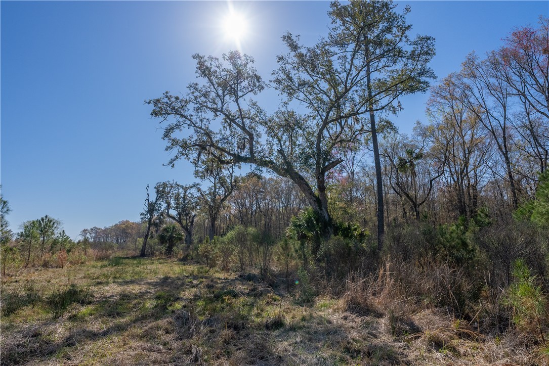 0 Us Hwy 82 Property Photo 43