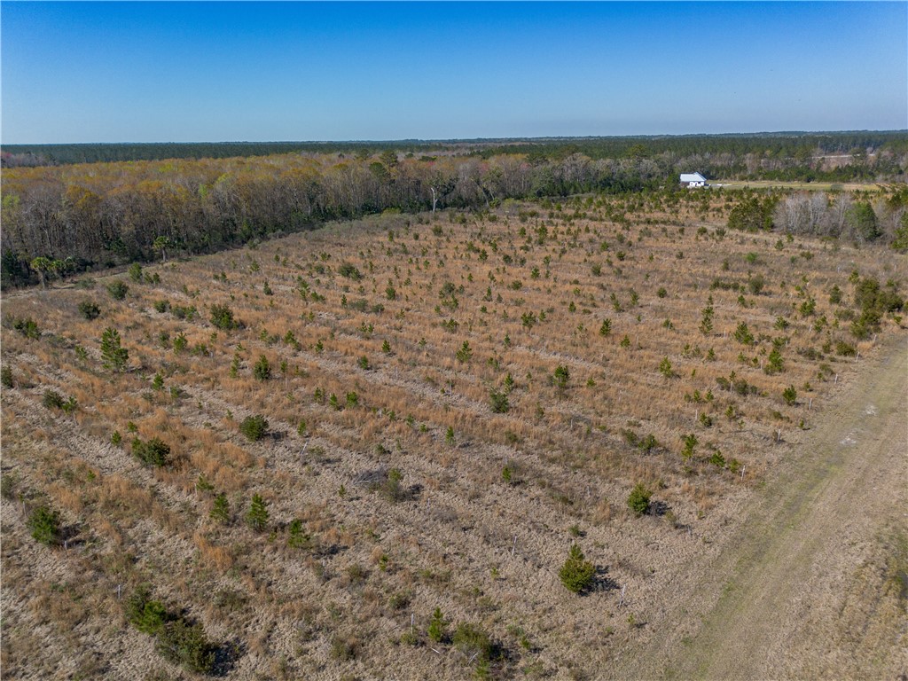 0 Us Hwy 82 Property Photo 44