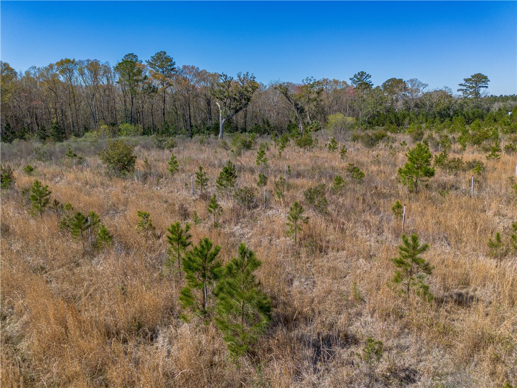 0 Us Hwy 82 Property Photo 45