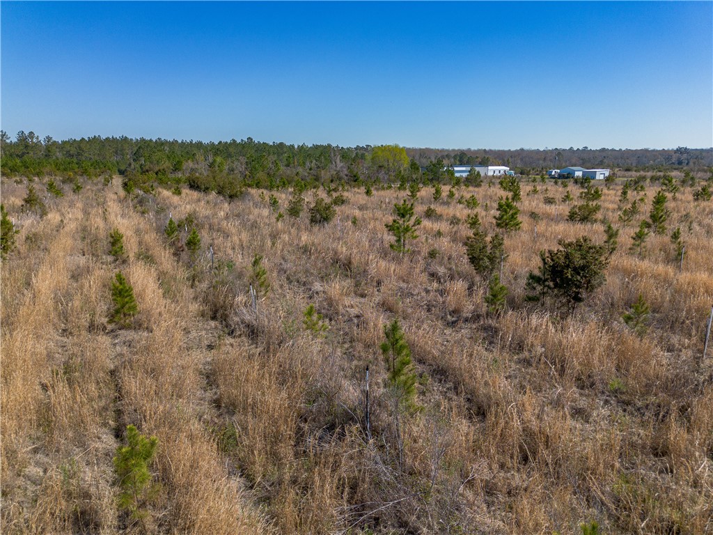 0 Us Hwy 82 Property Photo 46