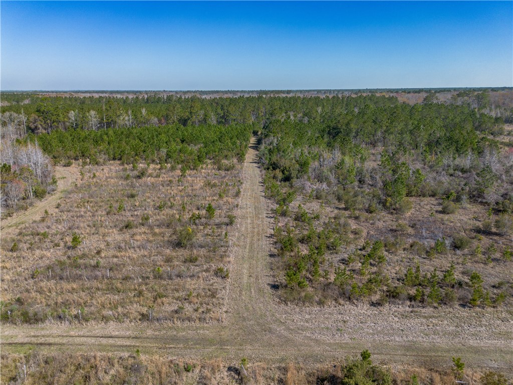 0 Us Hwy 82 Property Photo 47