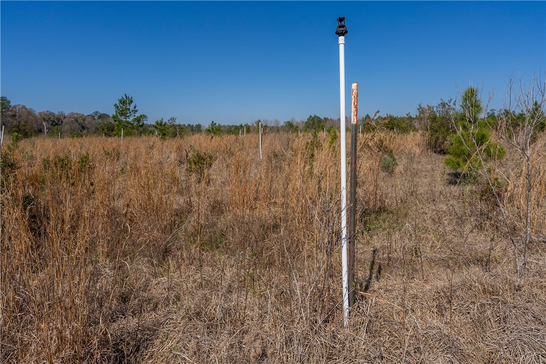 0 Us Hwy 82 Property Photo 49