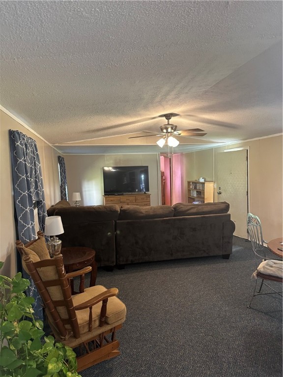 743 Sandy Loop Property Photo 9