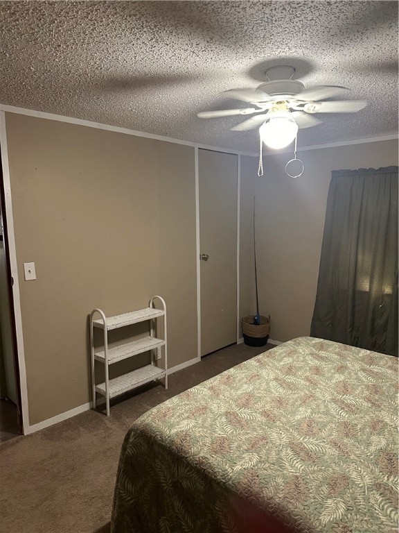 743 Sandy Loop Property Photo 19