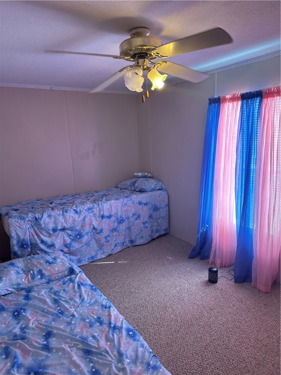 743 Sandy Loop Property Photo 32