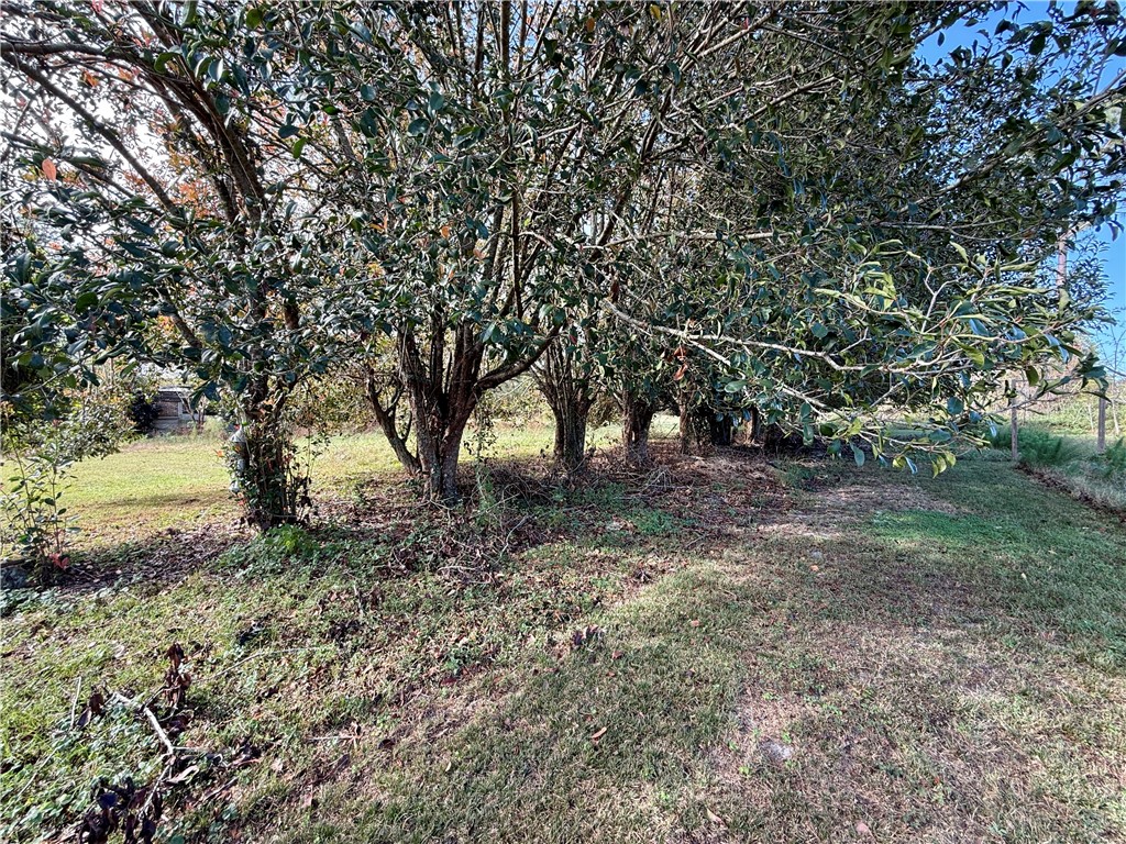 6506 Oak Grove Church Road Property Photo 79