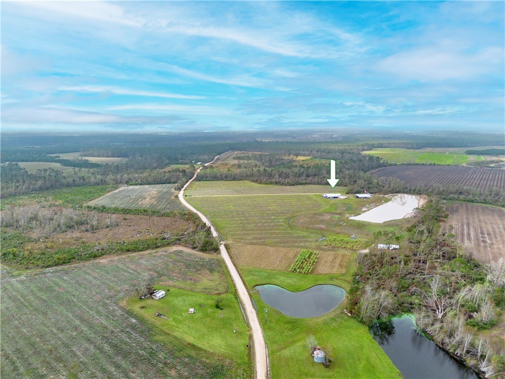 60 Fred Hutchinson Road Property Photo 10