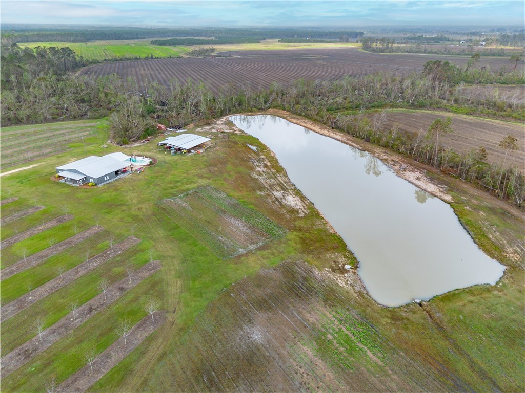 60 Fred Hutchinson Road Property Photo 11