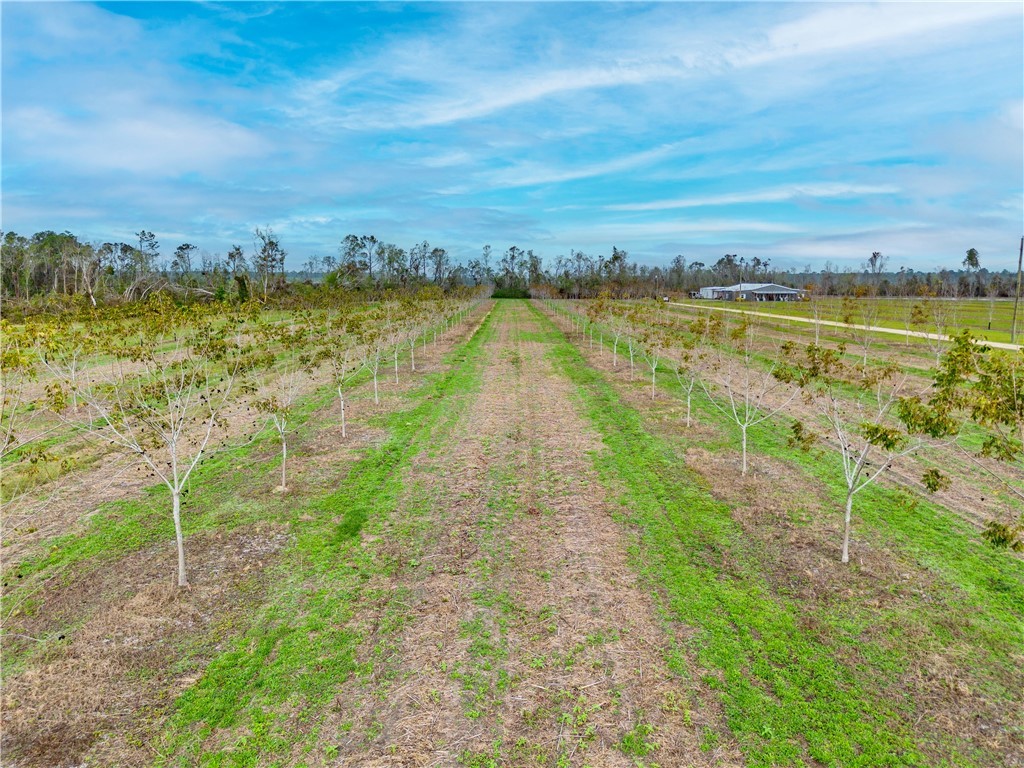 60 Fred Hutchinson Road Property Photo 14