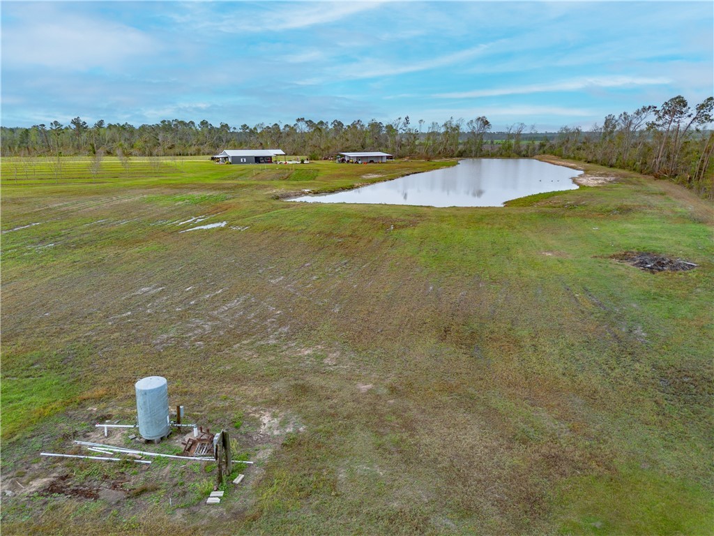 60 Fred Hutchinson Road Property Photo 15