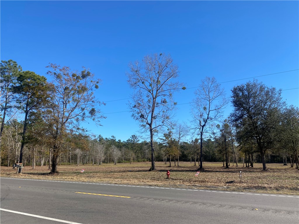 15438 Us Highway 17 Property Photo