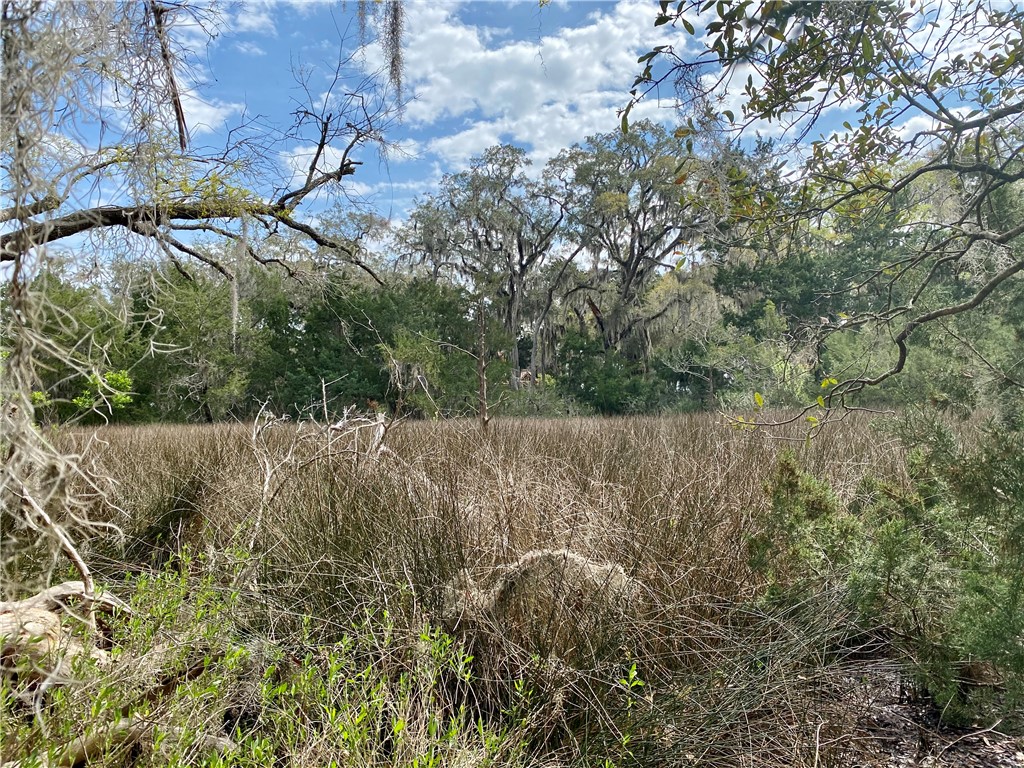 Lot 29 Tolomato Drive Property Photo 1
