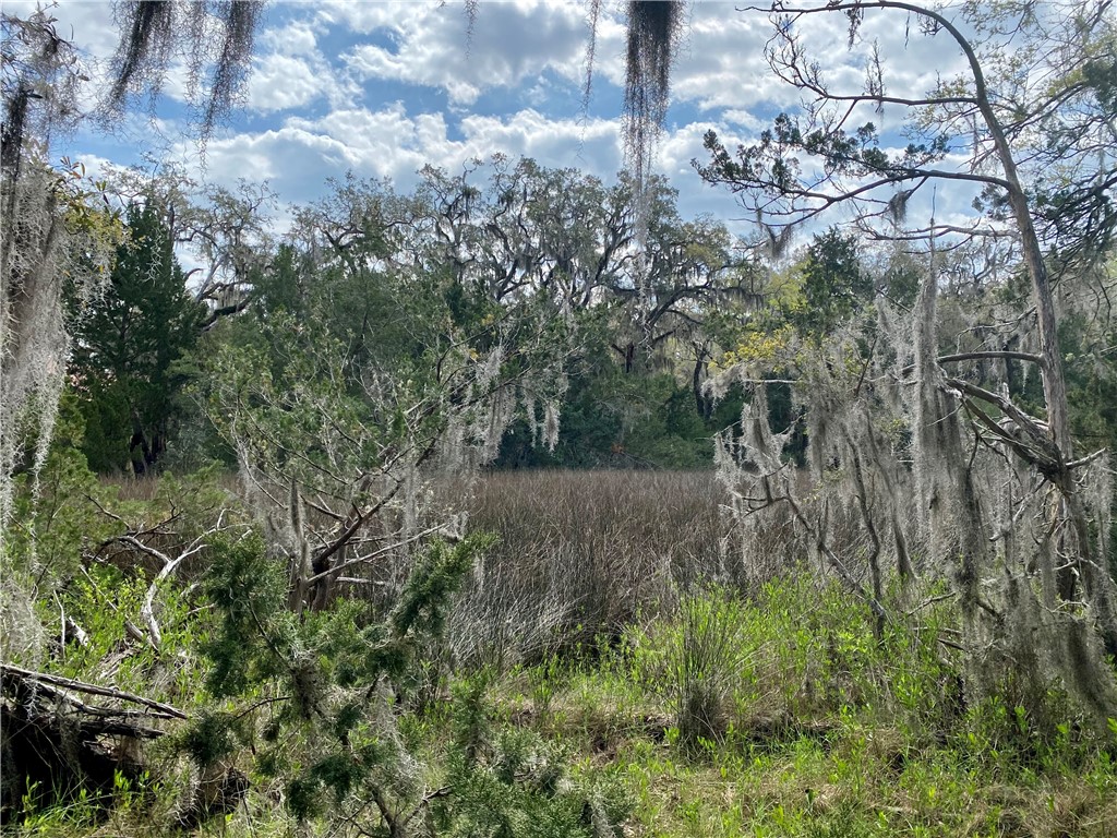 Lot 29 Tolomato Drive Property Photo 2