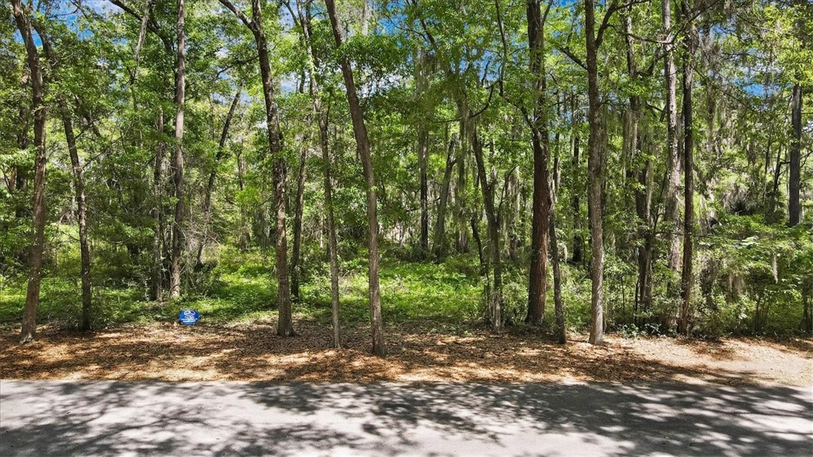 Lot 29 Tolomato Drive Property Photo 4