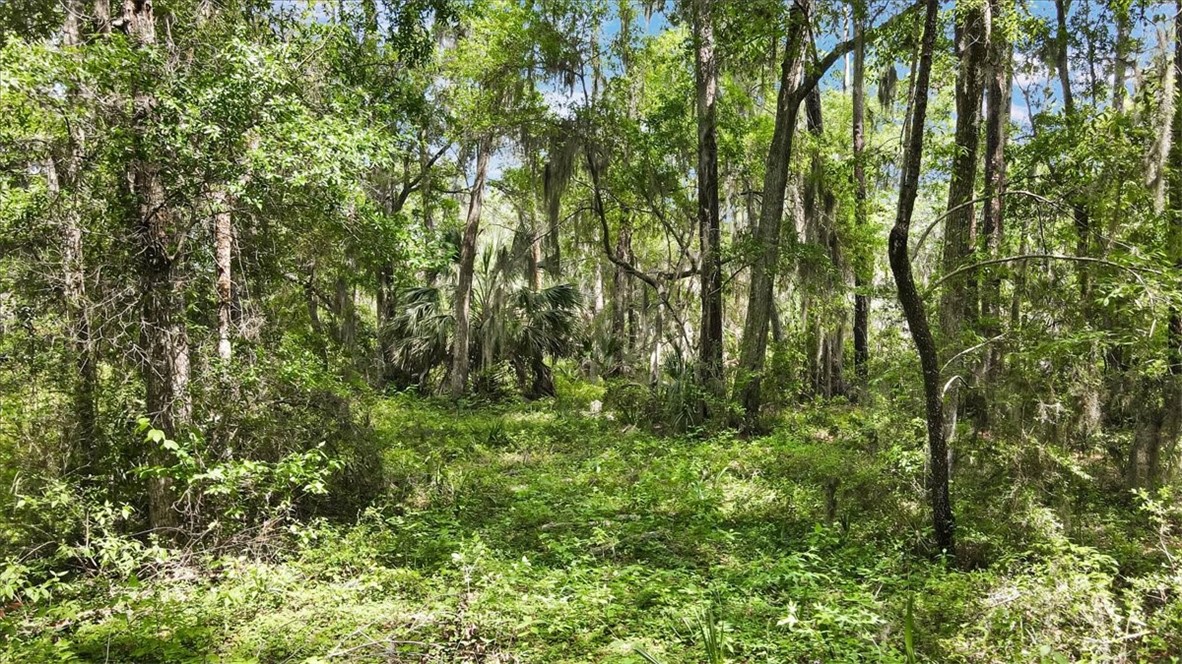 Lot 29 Tolomato Drive Property Photo 5