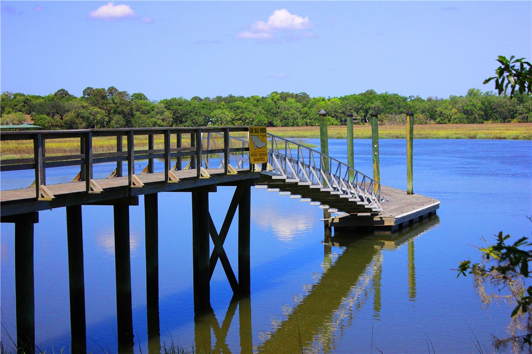 Lot 29 Tolomato Drive Property Photo 17