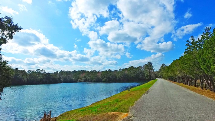 Lot 29 Tolomato Drive Property Photo 20