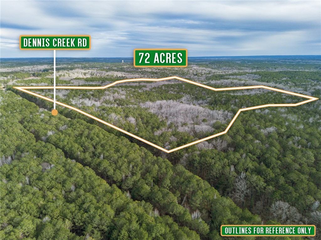 0 Dennis Creek Road Property Photo