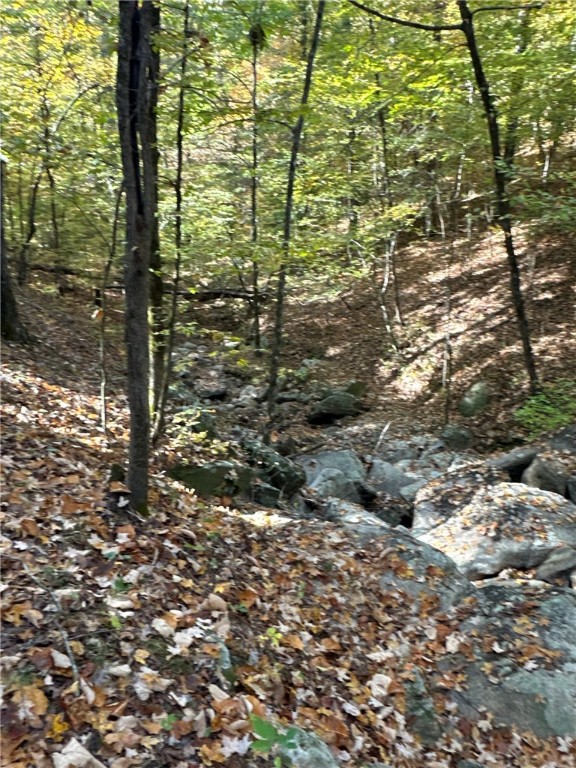Tract 3 Dennis Creek Road Property Photo