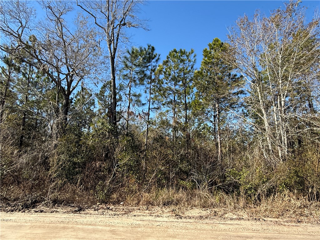 0 (lot 3) Elmer Thrift Road Property Photo 1