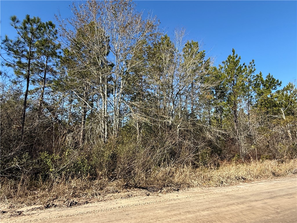 0 (lot 3) Elmer Thrift Road Property Photo 2