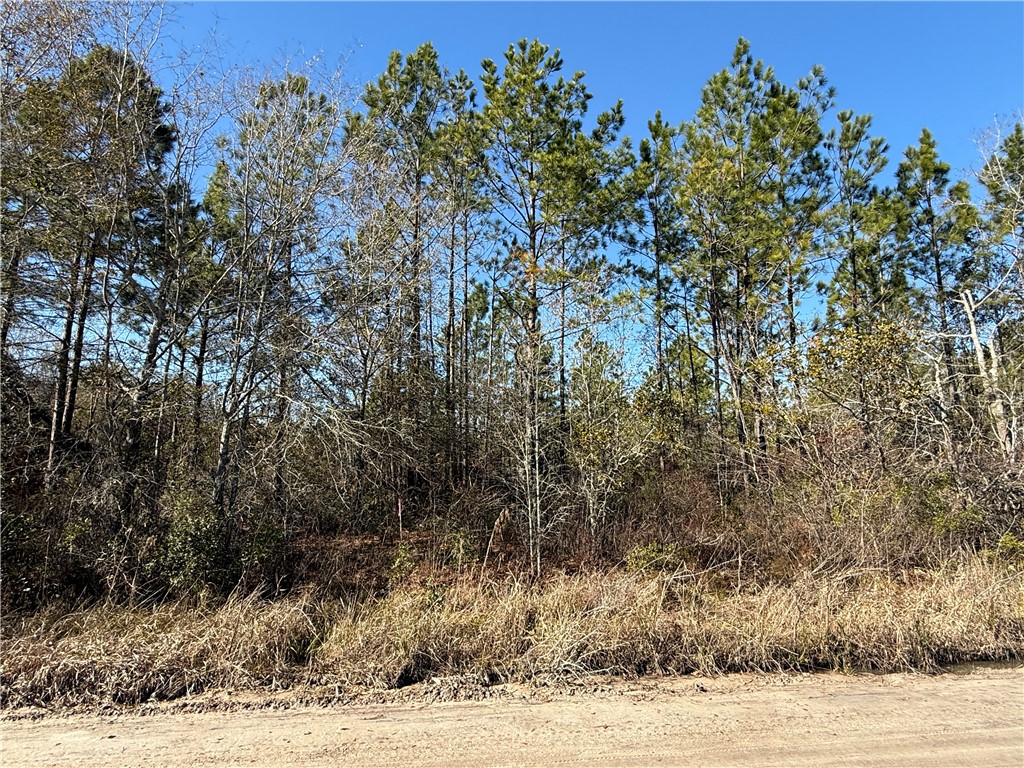 0 (lot 3) Elmer Thrift Road Property Photo 3