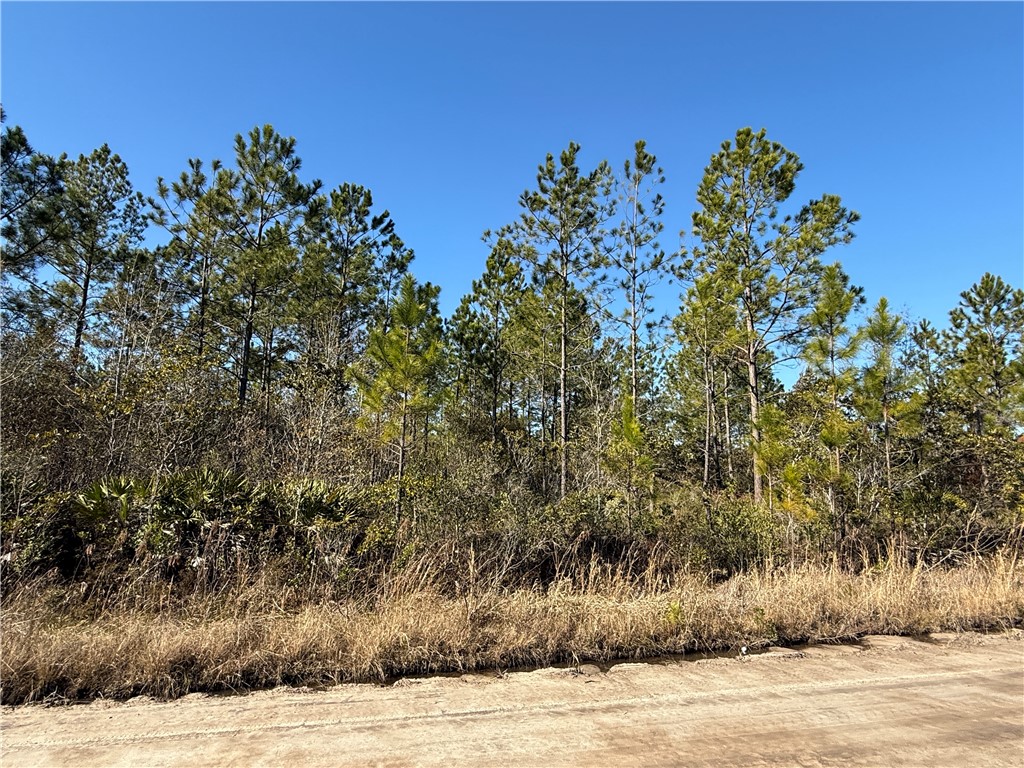 0 (Lot 4) Elmer Thrift Road Property Photo 1