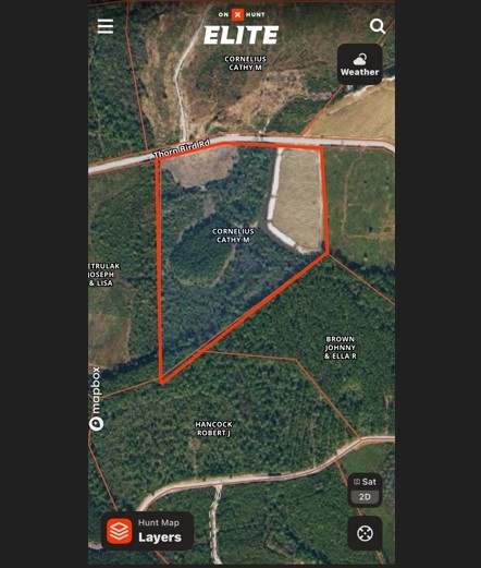 0 Thorn Bird Road Property Photo 1