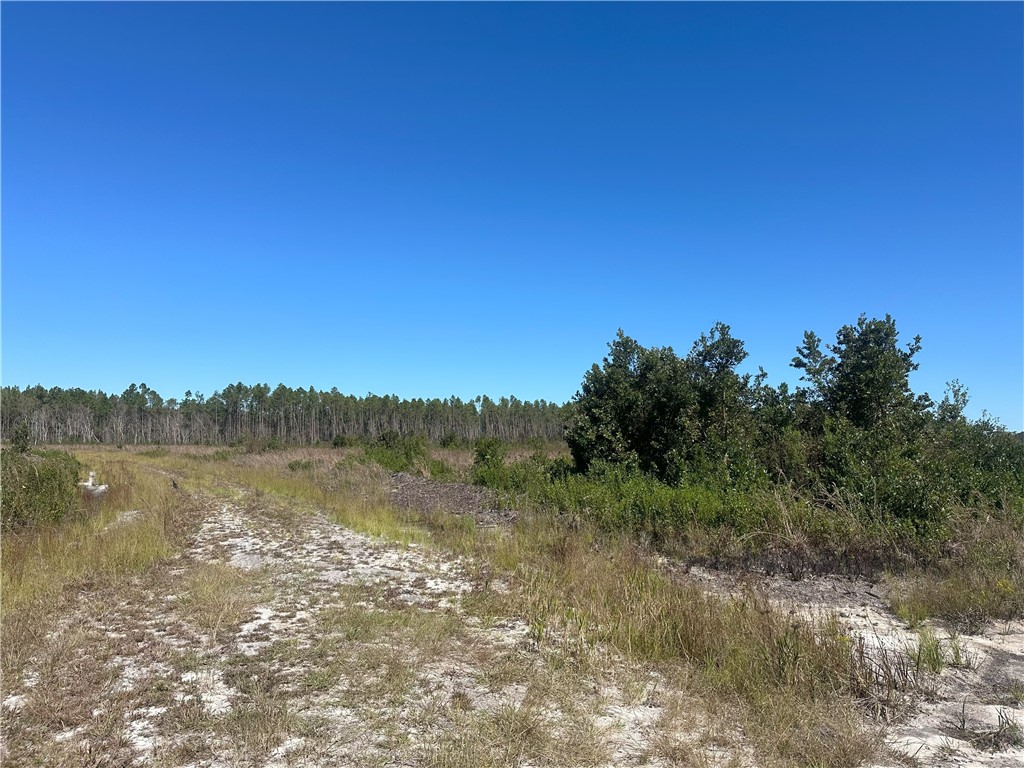 0 Thorn Bird Road Property Photo 3