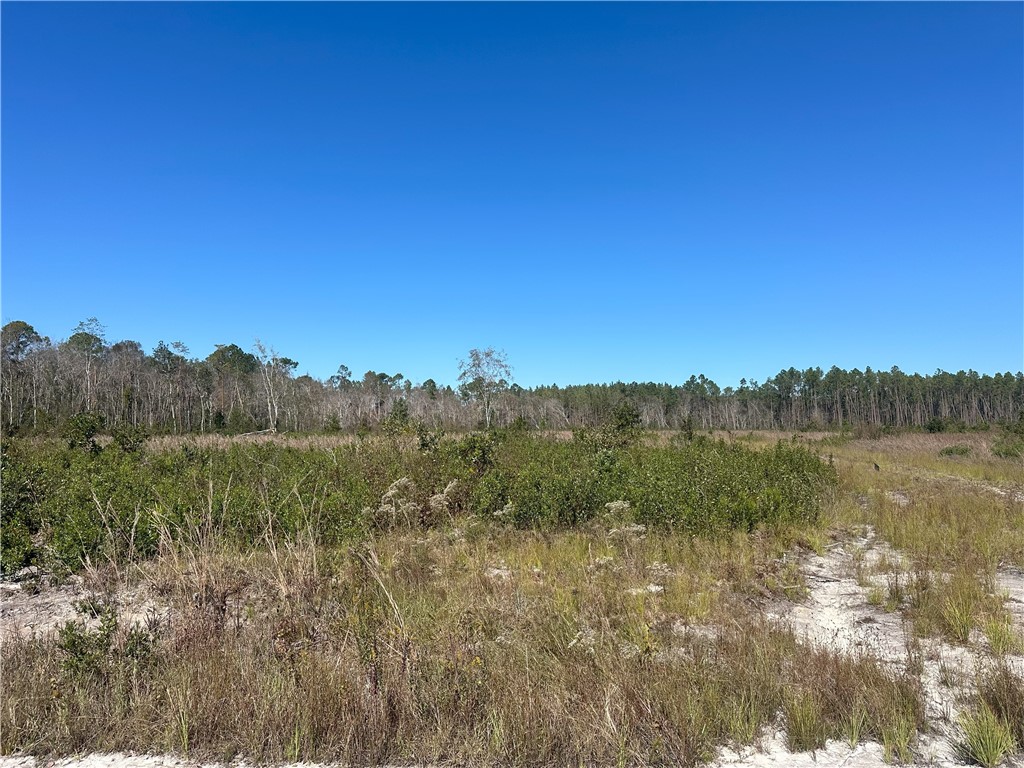 0 Thorn Bird Road Property Photo 4
