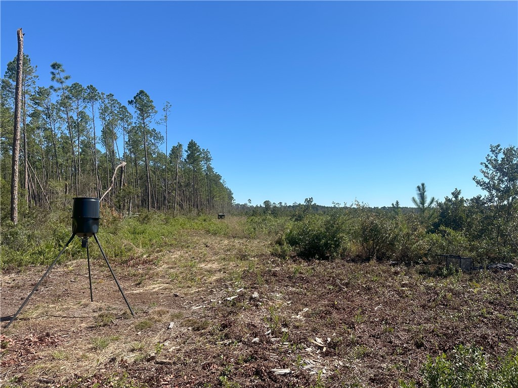 0 Thorn Bird Road Property Photo 13